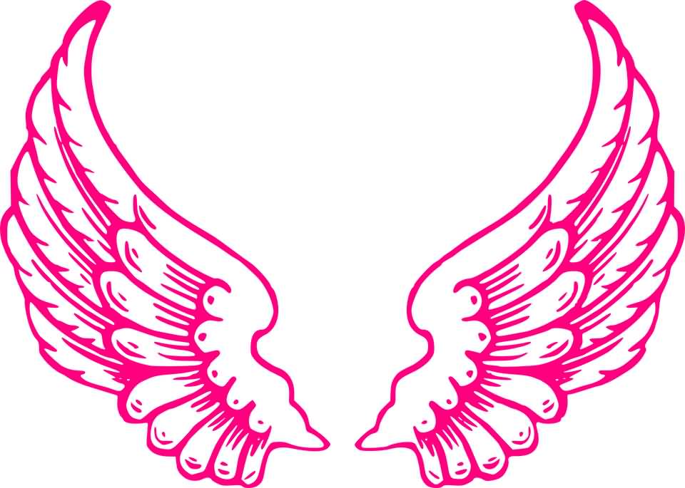 Beautiful Pink Angel Wings Picture