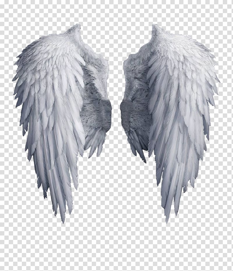 Archangel wing angel.