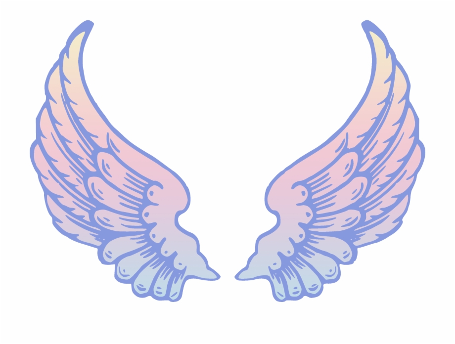 Angel Wings Lightwing Co Page Octopus Clipart