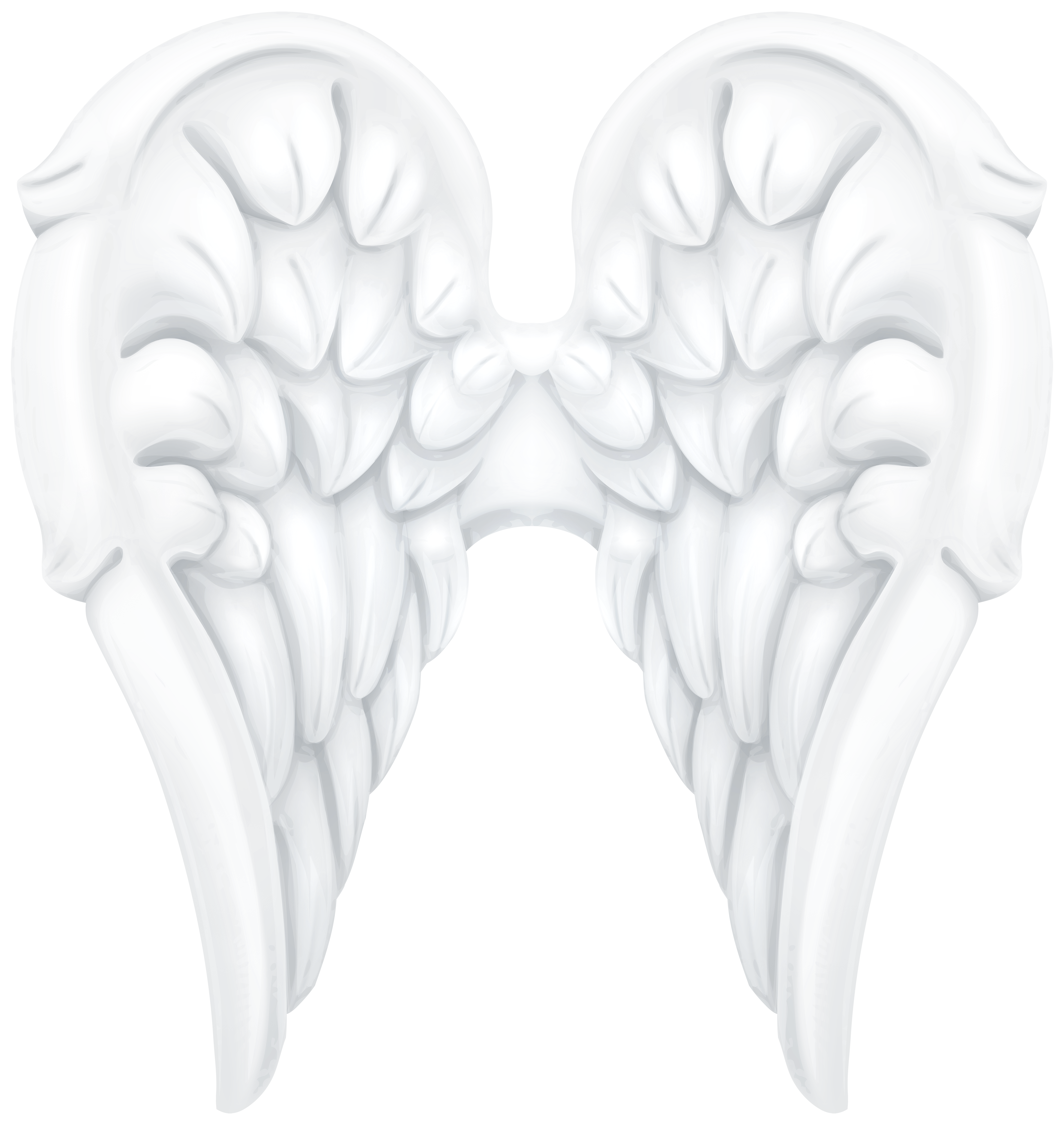 White angel wings.