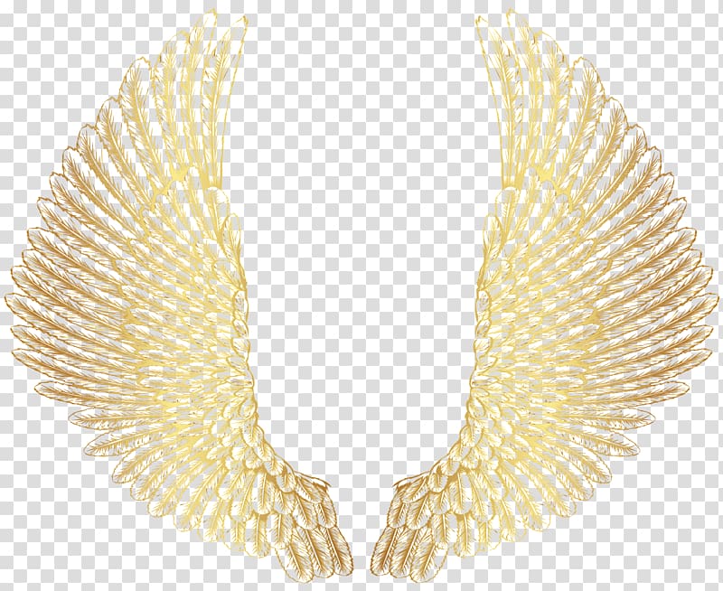 Yellow wings , Drawing , angel wing transparent background