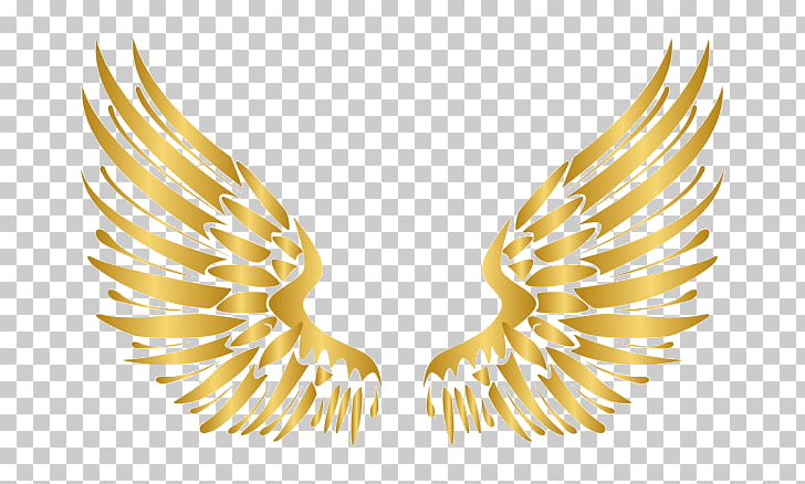 Gold angel wings.