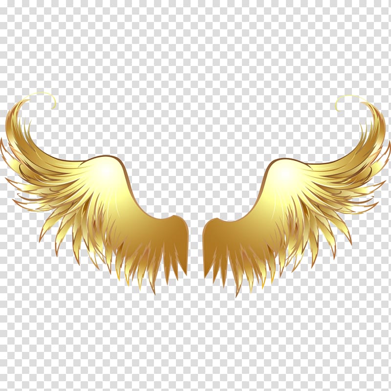 Yellow wings illustration, Drawing , Angel wings material