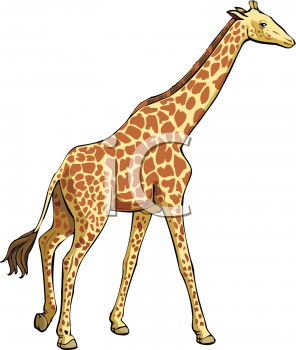 Clipart of A Giraffe