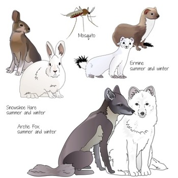 Arctic tundra animals.