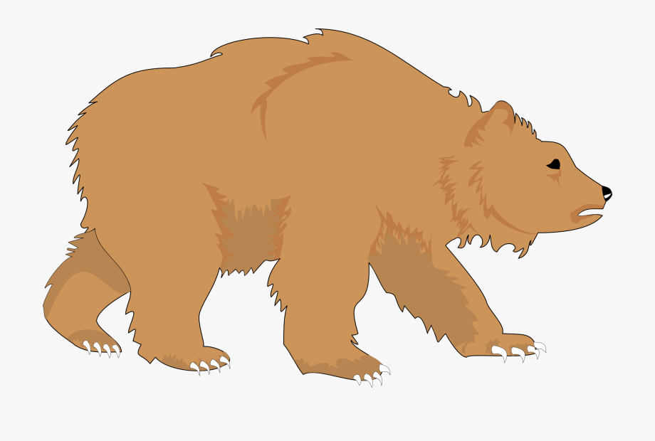 Bear clip art.