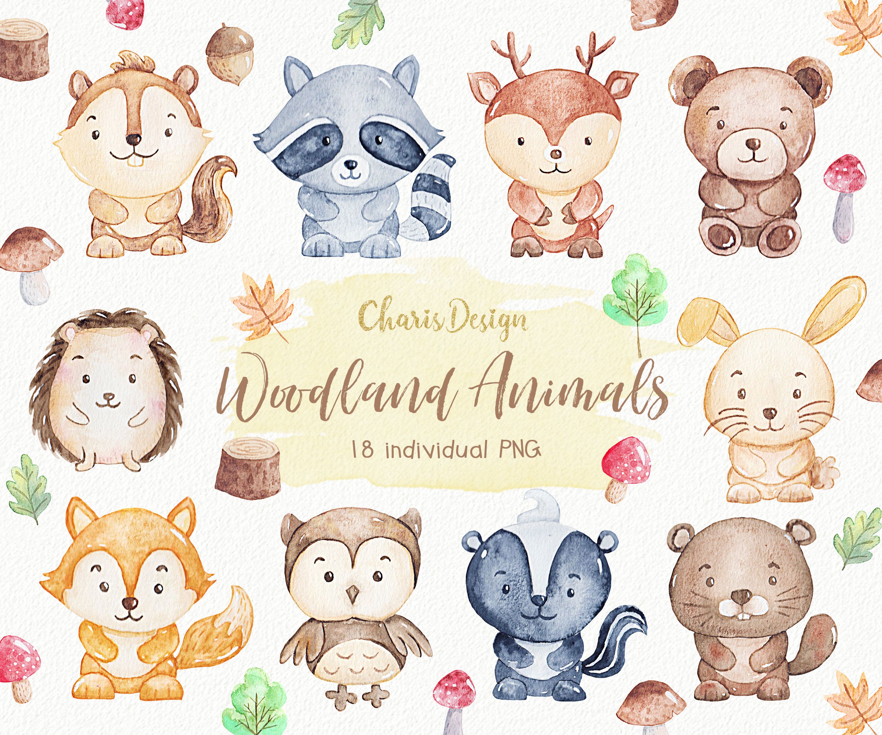 Woodland animal illustration.