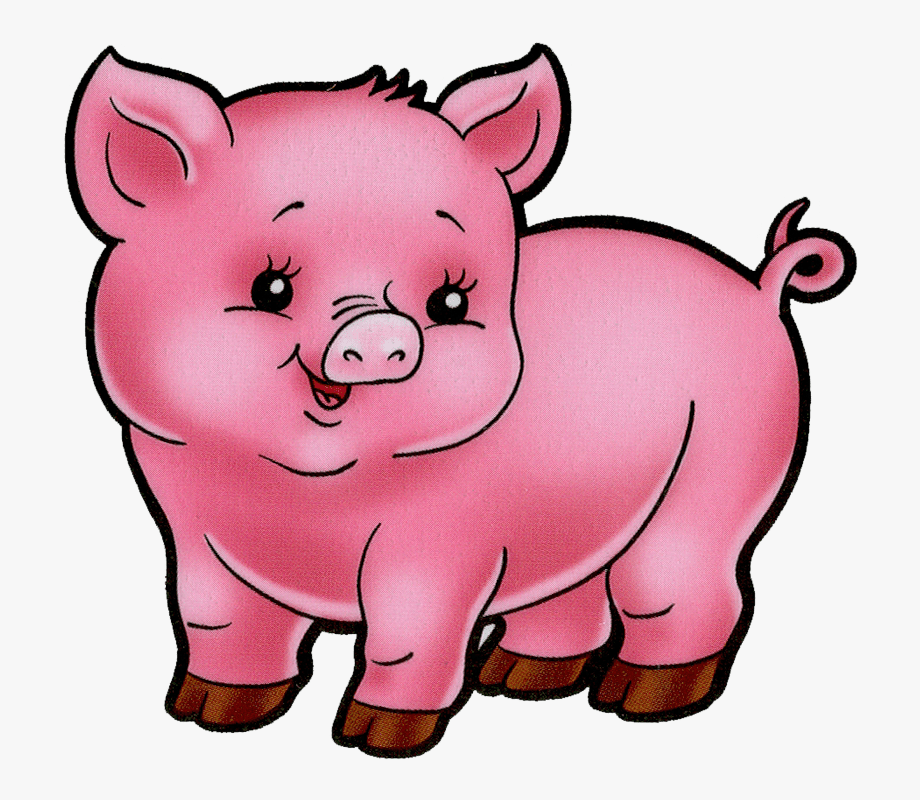 Animal farm pig.