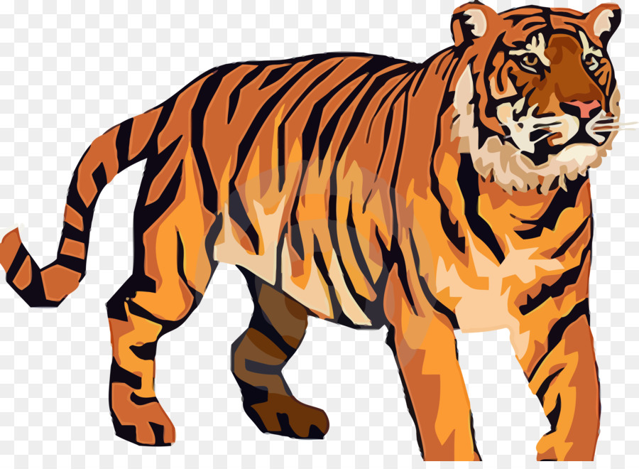 Tiger Cartoon clipart