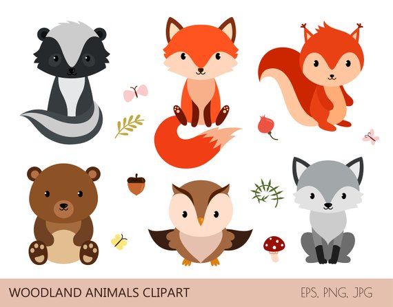 Cute woodland animals
