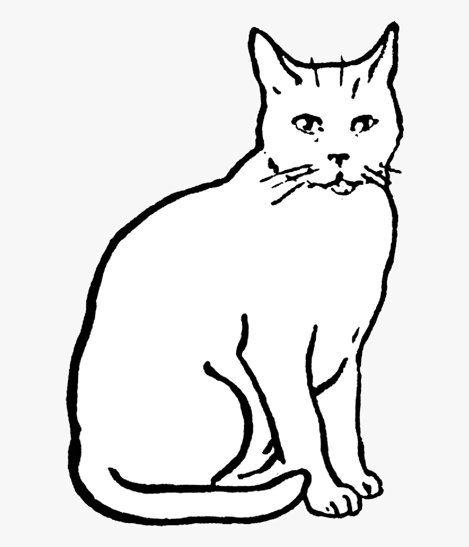 Cat Drawing, Animals Images, Digital Stamps Free, Clipart