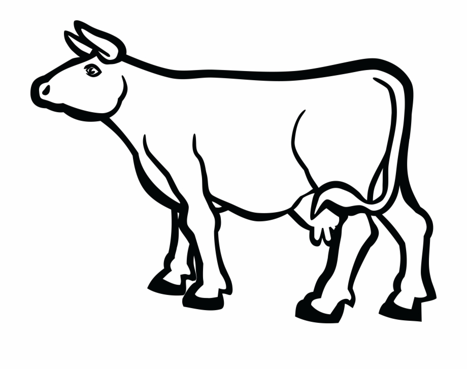 animals black and white clipart cow