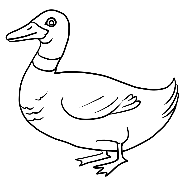animals black and white clipart duck