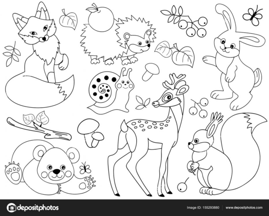 Forest Animals Clipart Black And White