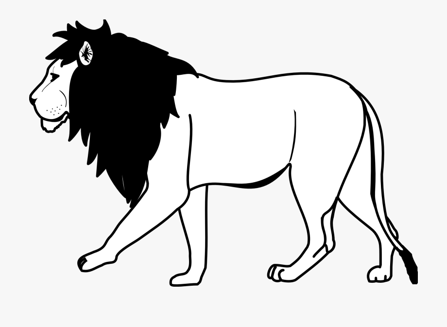 animals black and white clipart lion