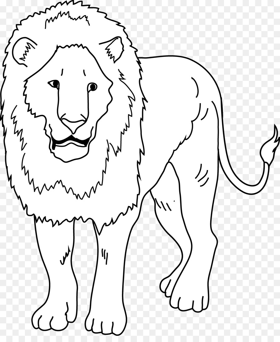 Lion drawing clipart.
