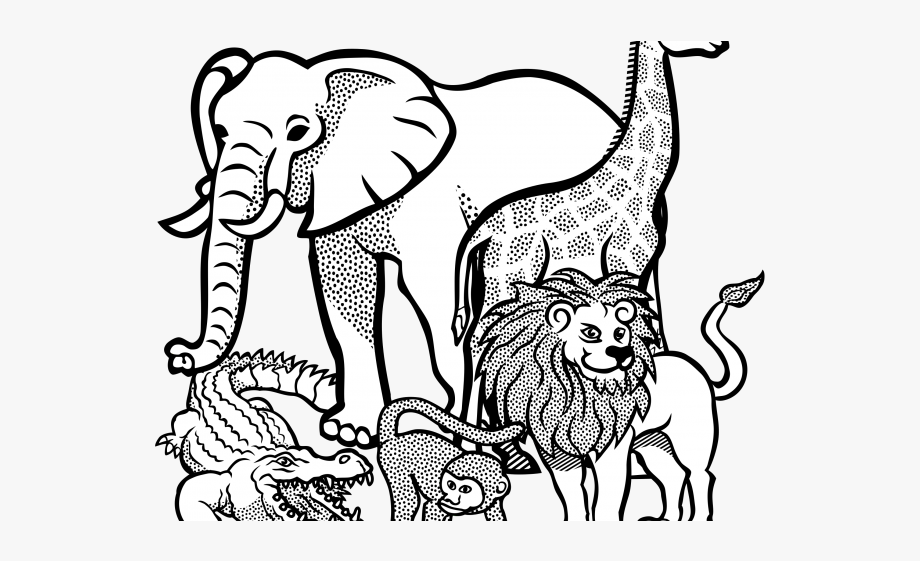 animals black and white clipart outline