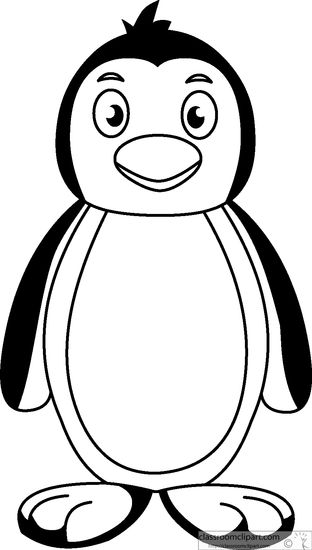 Penguin black and white animals standing penguin black white