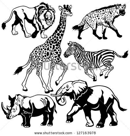 Free wildlife black and white drawings