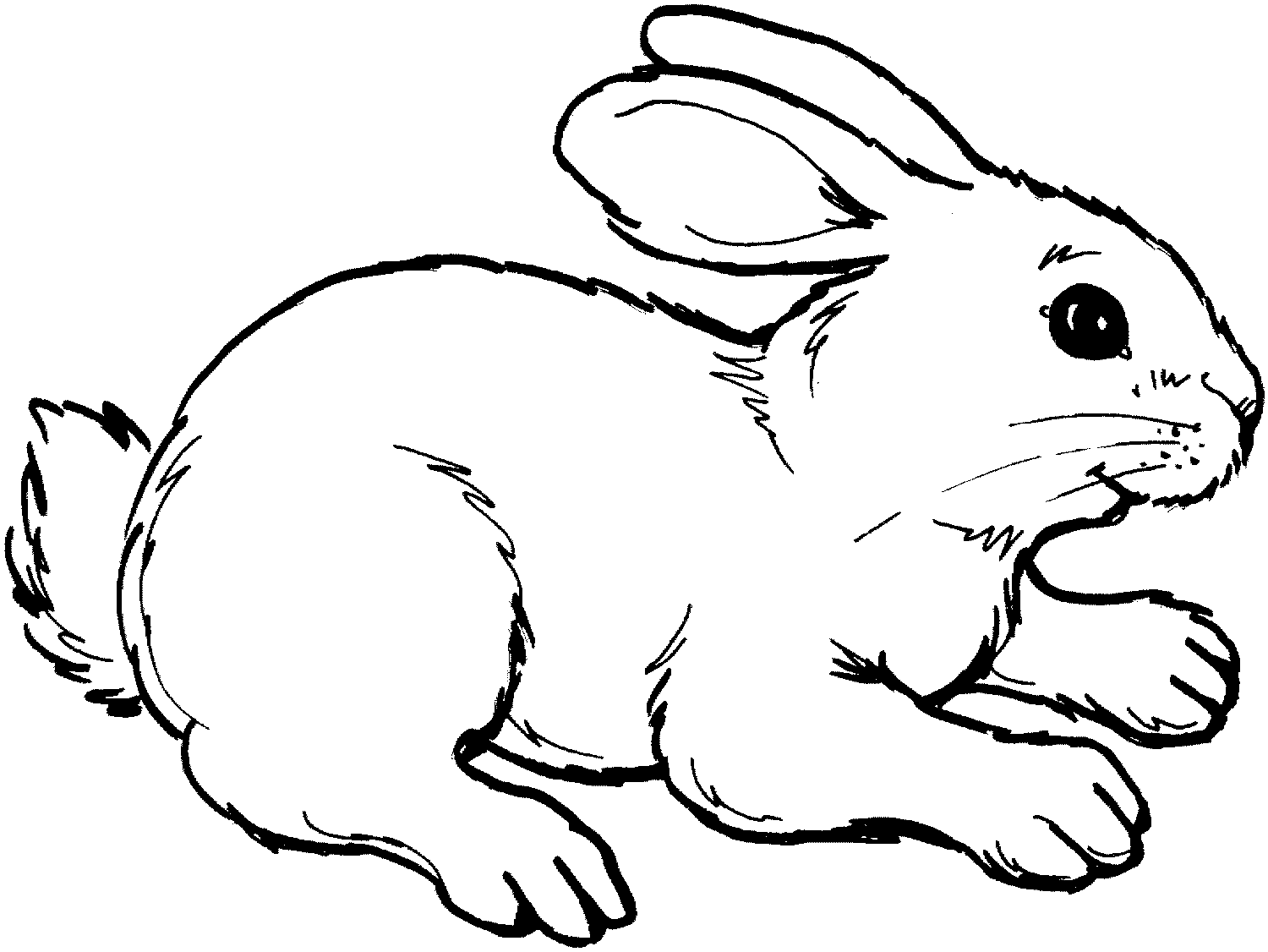 Free Black And White Rabbit Clipart, Download Free Clip Art
