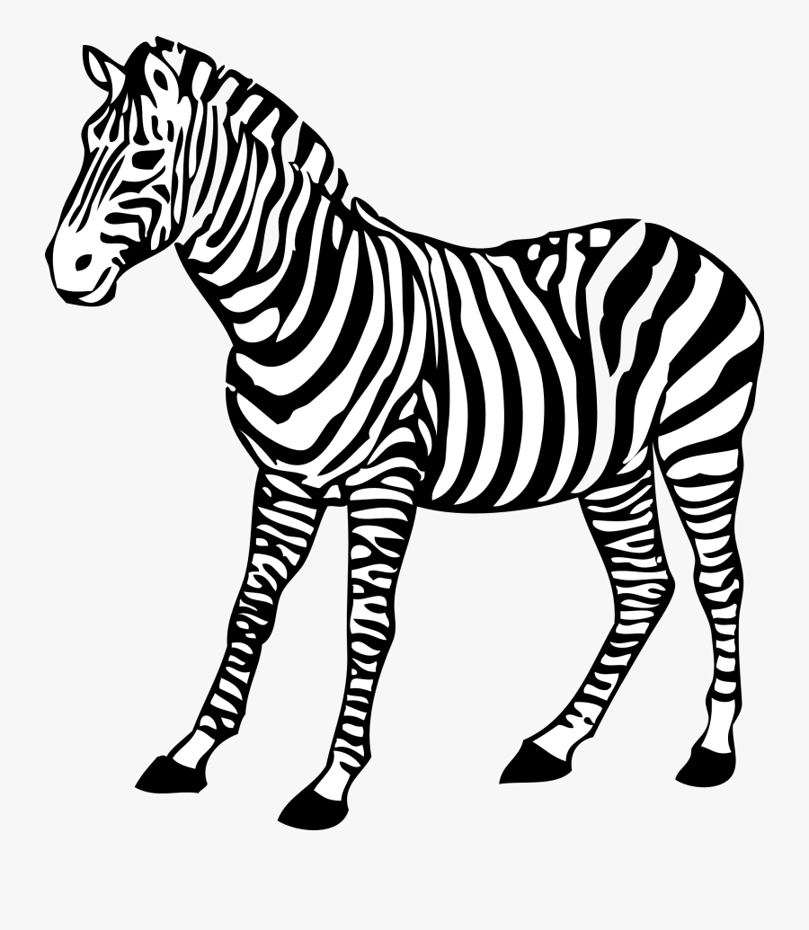 Clip Art Realistic Animal Clipart Black And White