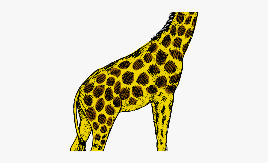 Small clipart giraffe.