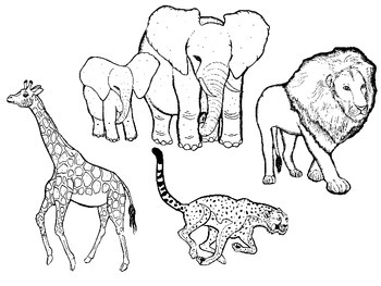 Zoo Animals Black And White Clipart Worksheets