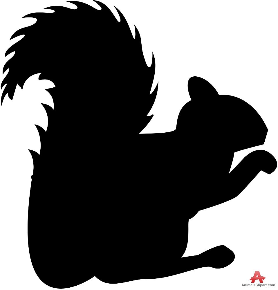Squirrel black and white squirrels animals clipart gallery
