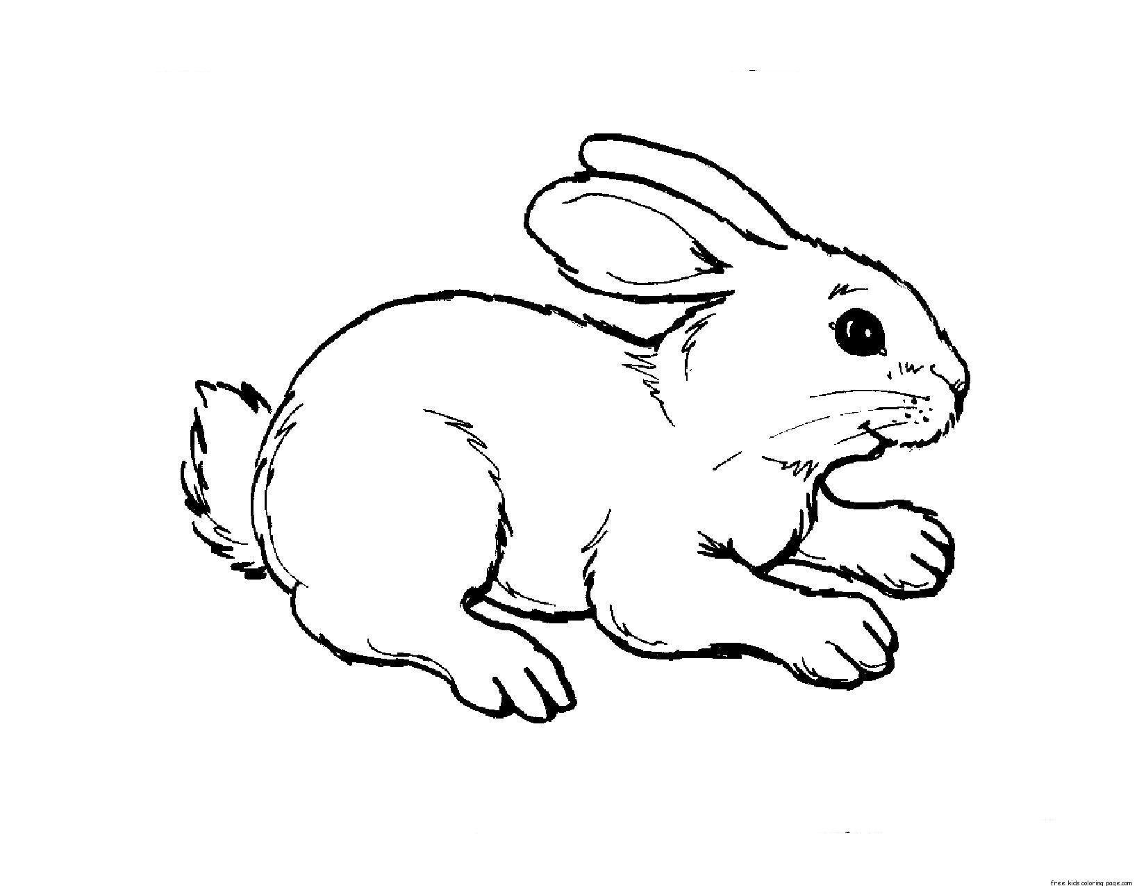 Small animals clipart black and white