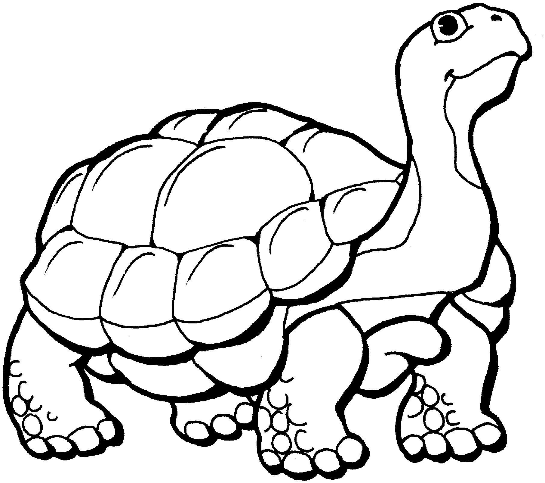 Free Turtle Clipart Black And White, Download Free Clip Art