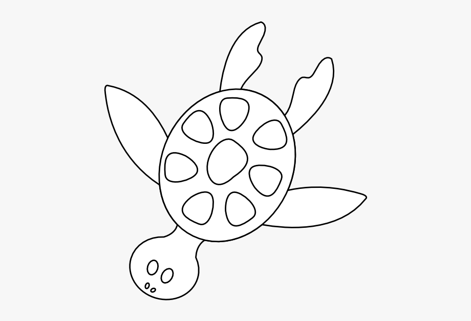Colorful Animal Sea Turtle Black White Line Art