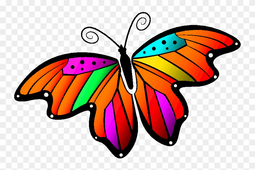 Monarch Butterfly Clipart Gif Animation