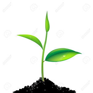 Animated clipart plant.