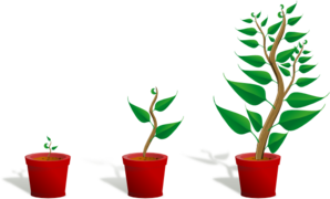 Plant growth clip.