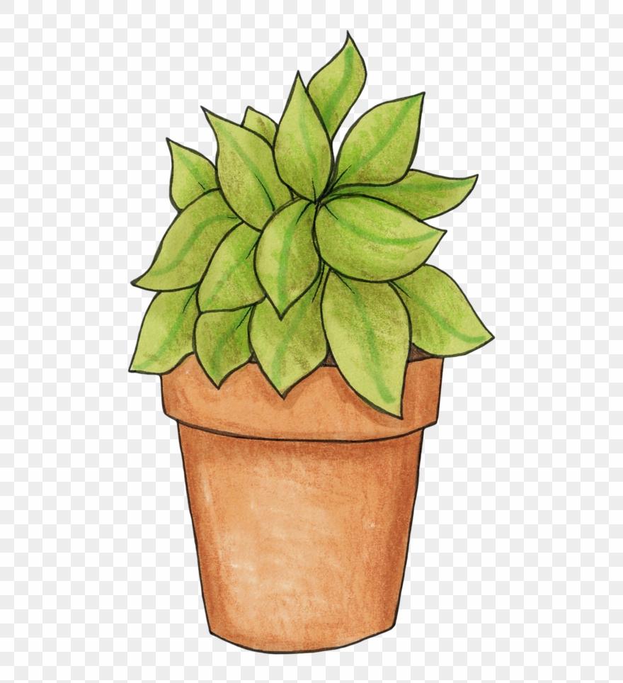 Best Free House Plant Clip Art Pictures