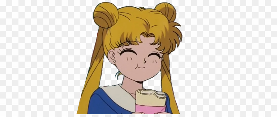 Aesthetic Sailor Moon PNG Kawaii Anime Clipart download