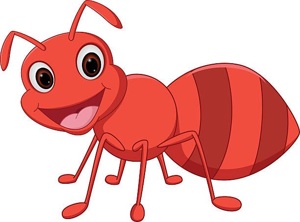 Ant clipart bugs.