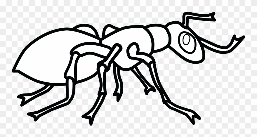 Free Clipart Of An Ant Free