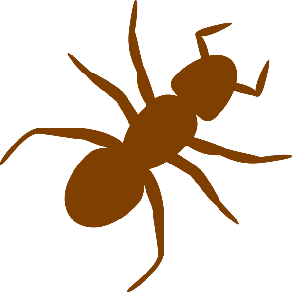 Brown Ant Clip Art at Clker