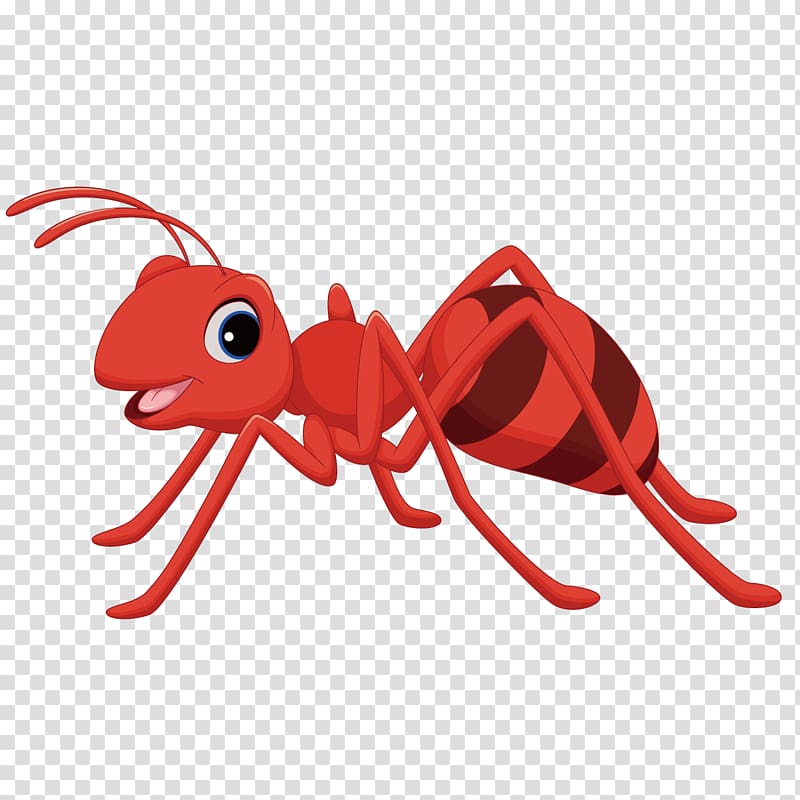 Red ant illustration.