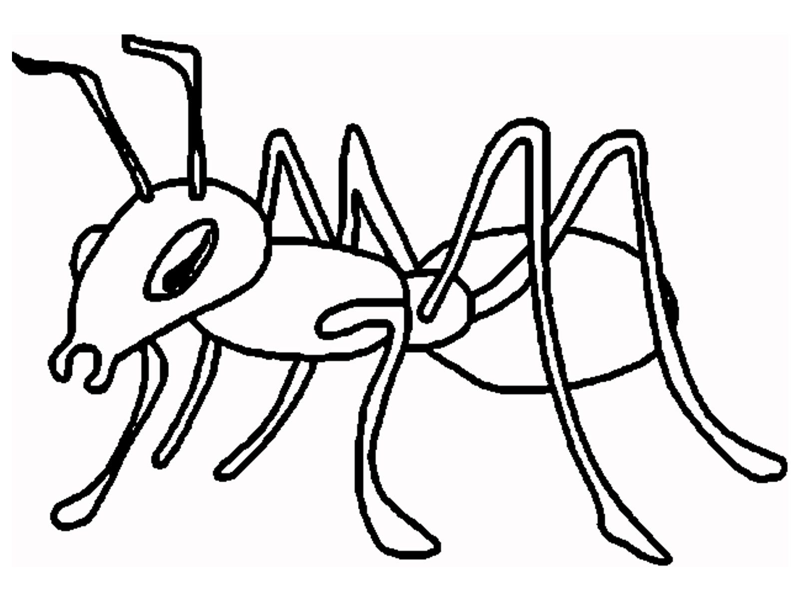 Ant coloring page.