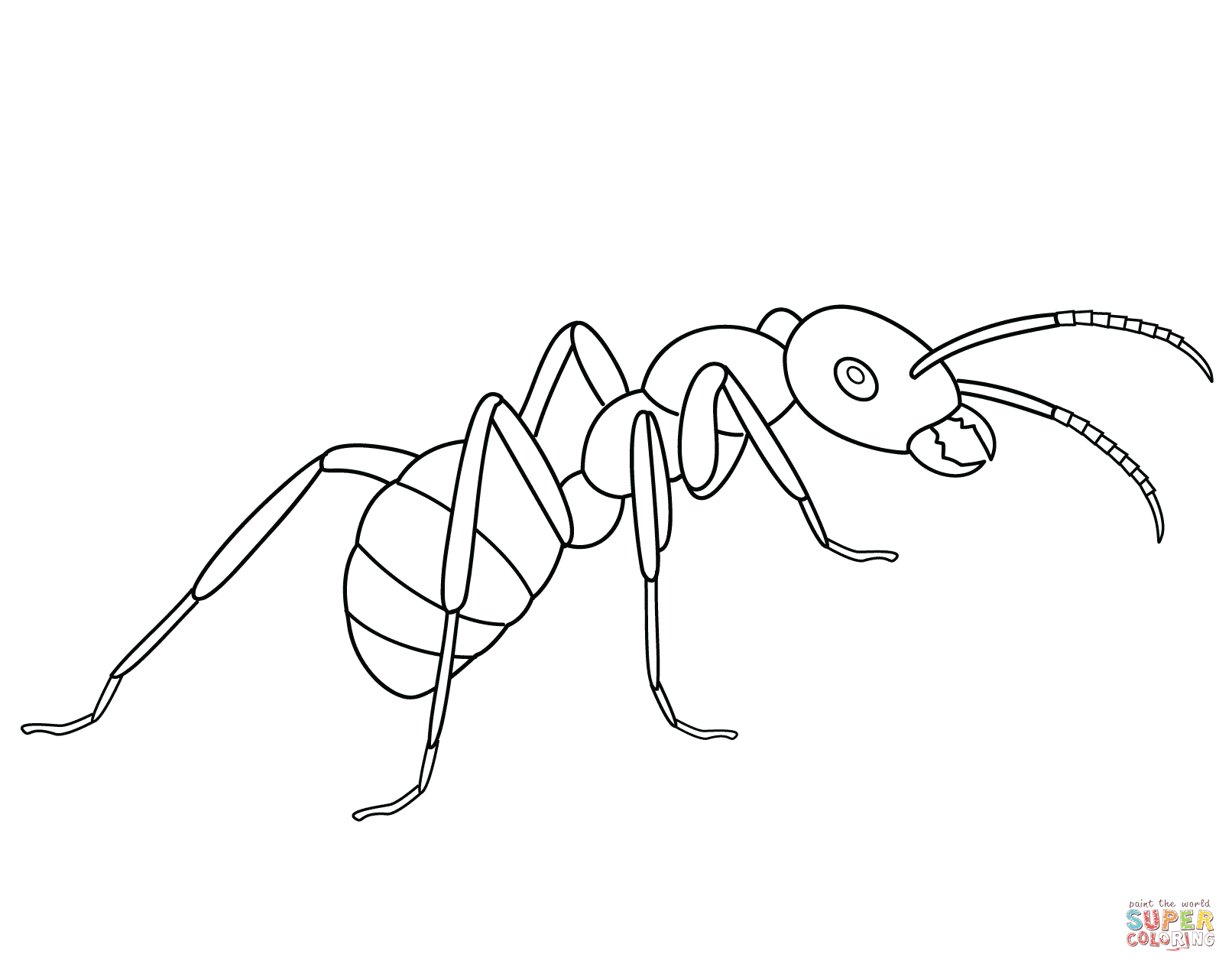 Ants coloring pages