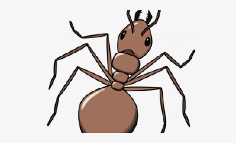 Ant clipart easy.