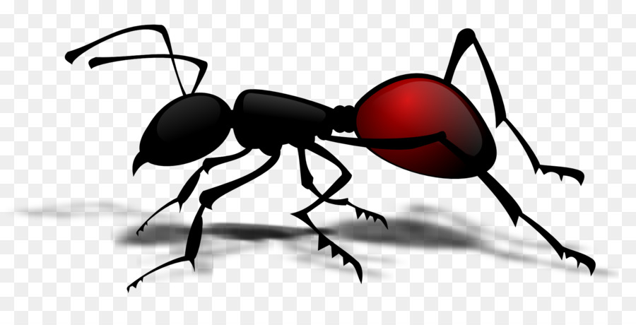ant clipart insect