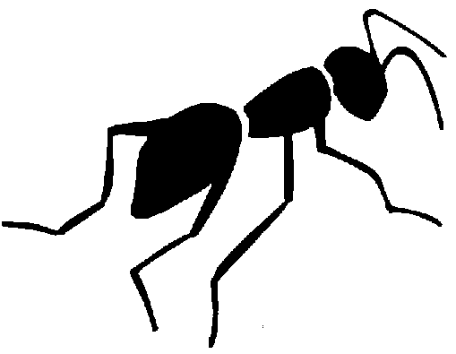 Free ants clipart.