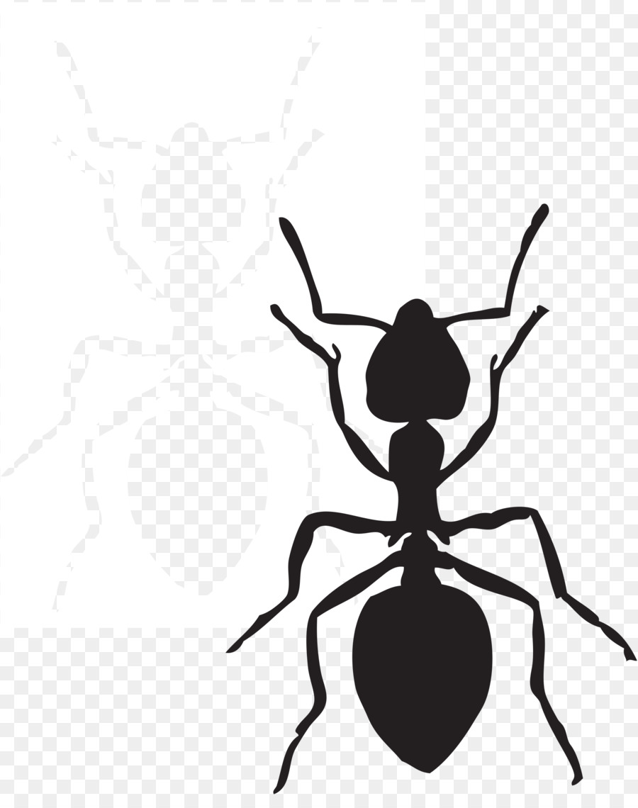 Preschool Ant Cliparts