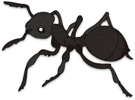 Free ant clipart.