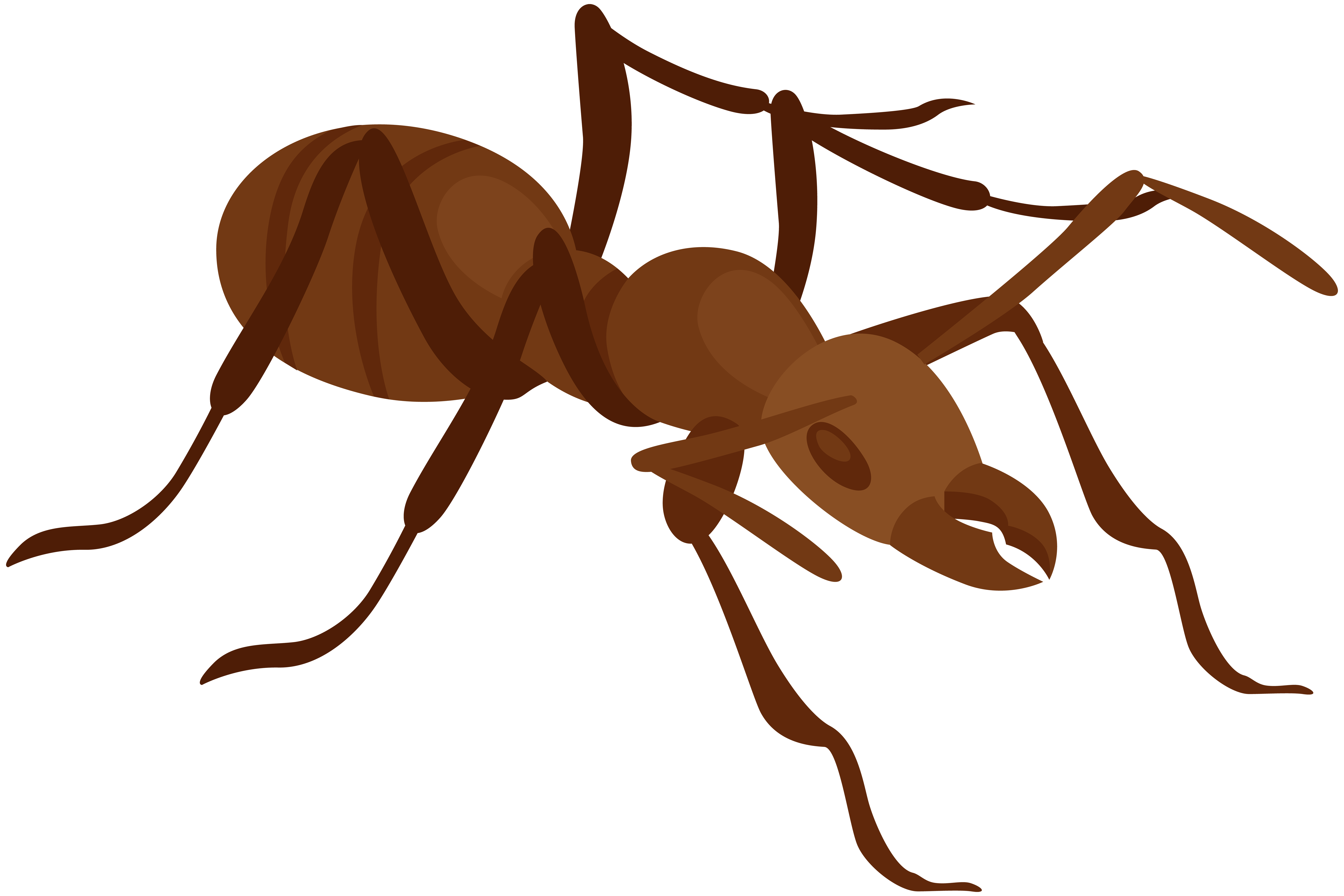 Ant PNG Clip Art