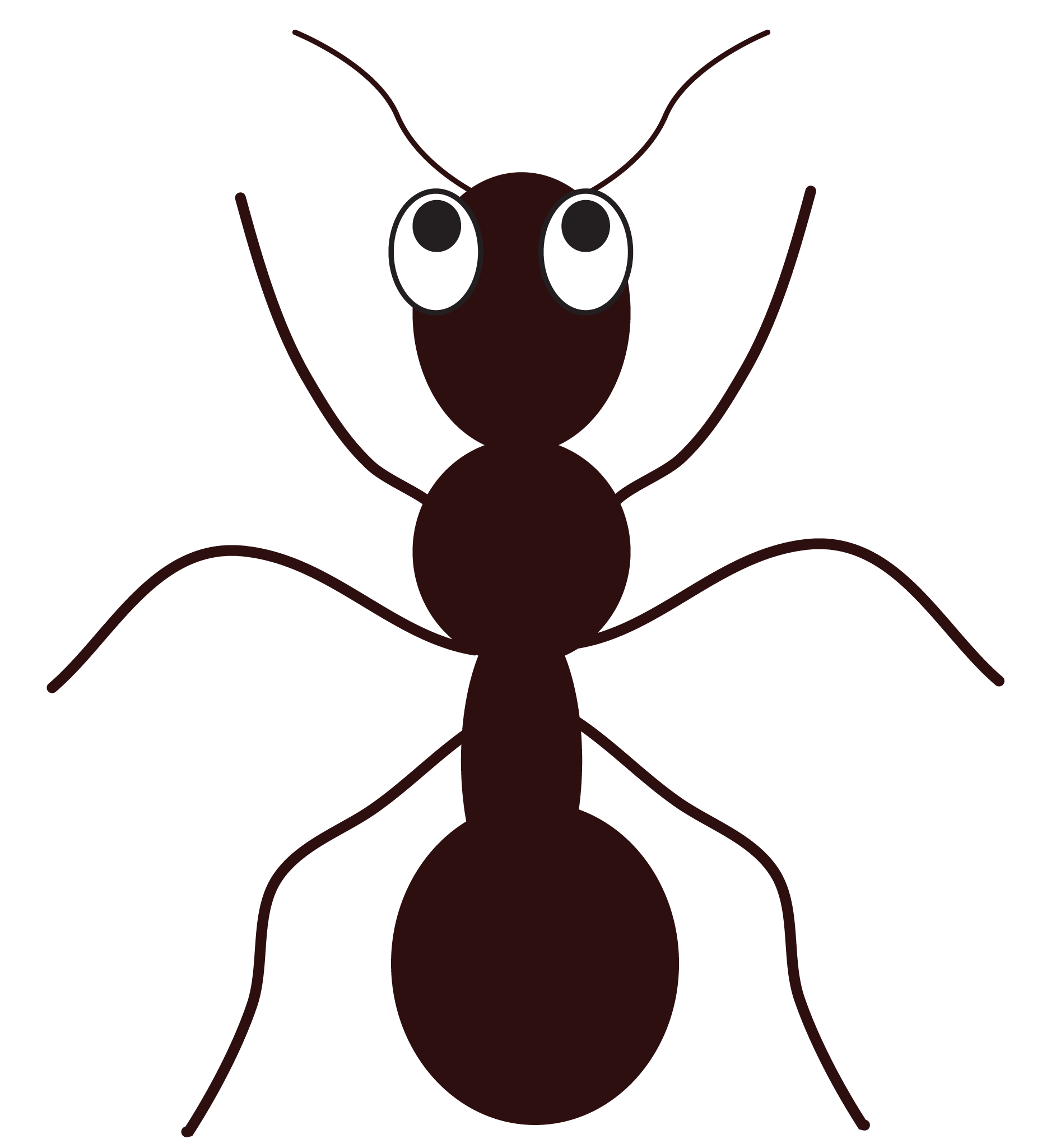 Ant clipart free.