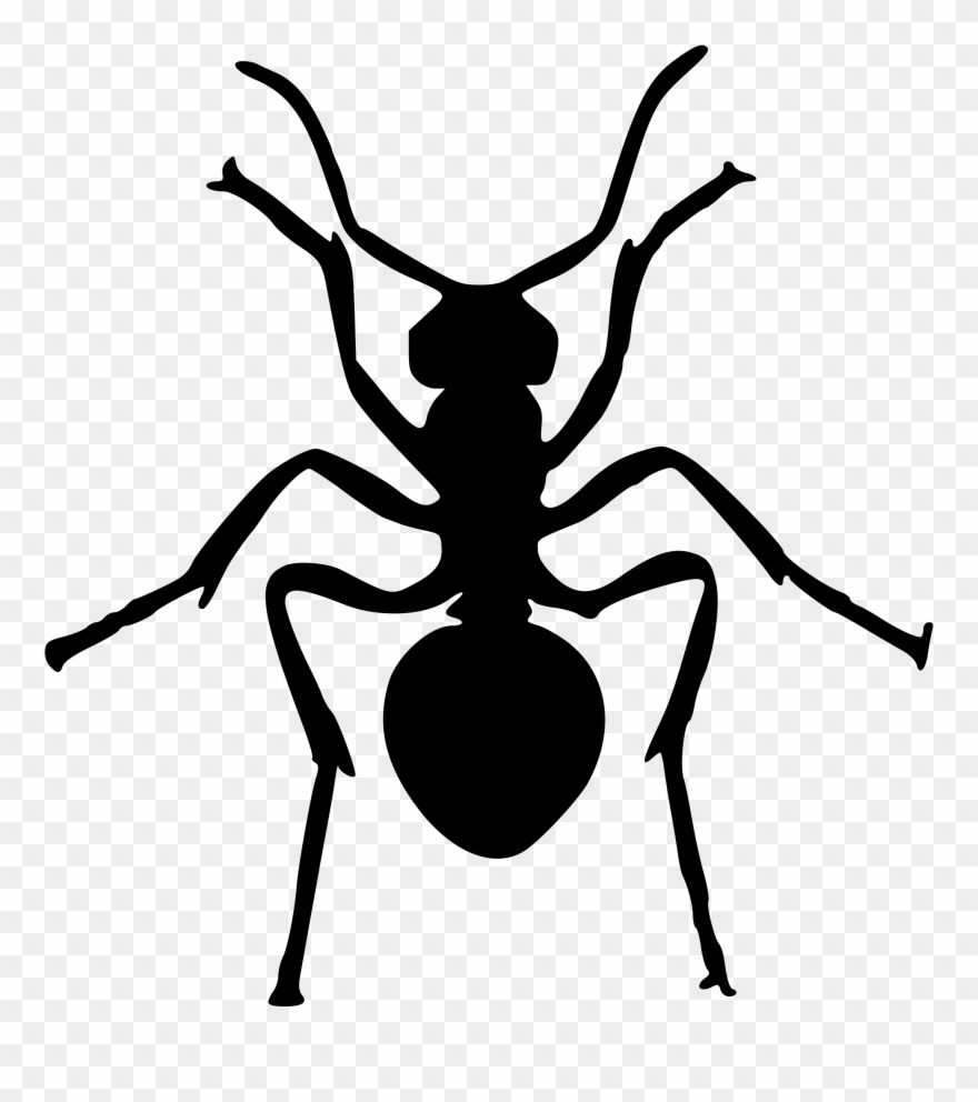 Ant Insect Art Silhouette Drawing